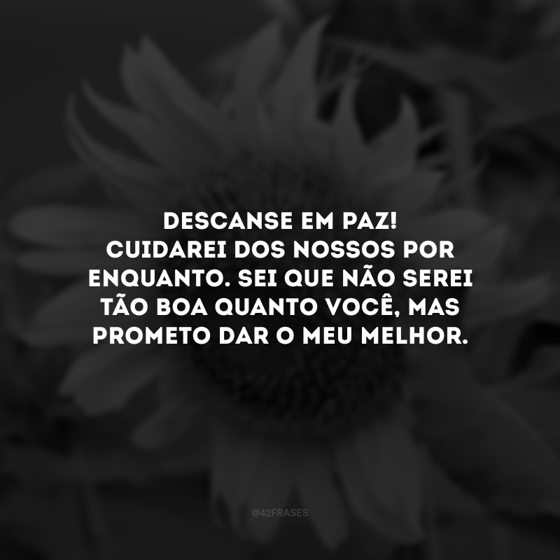 Descanse em paz! Cuidarei dos nossos por enquanto. Sei que não serei tão boa quanto você, mas prometo dar o meu melhor. 