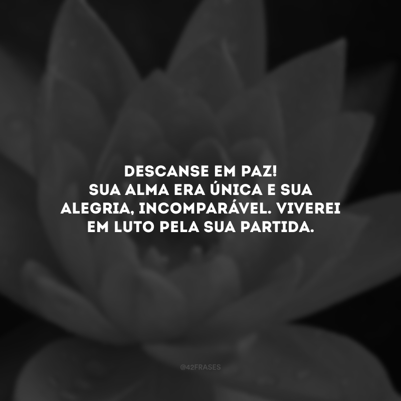 Descanse em paz! Sua alma era única e sua alegria, incomparável. Viverei em luto pela sua partida. 