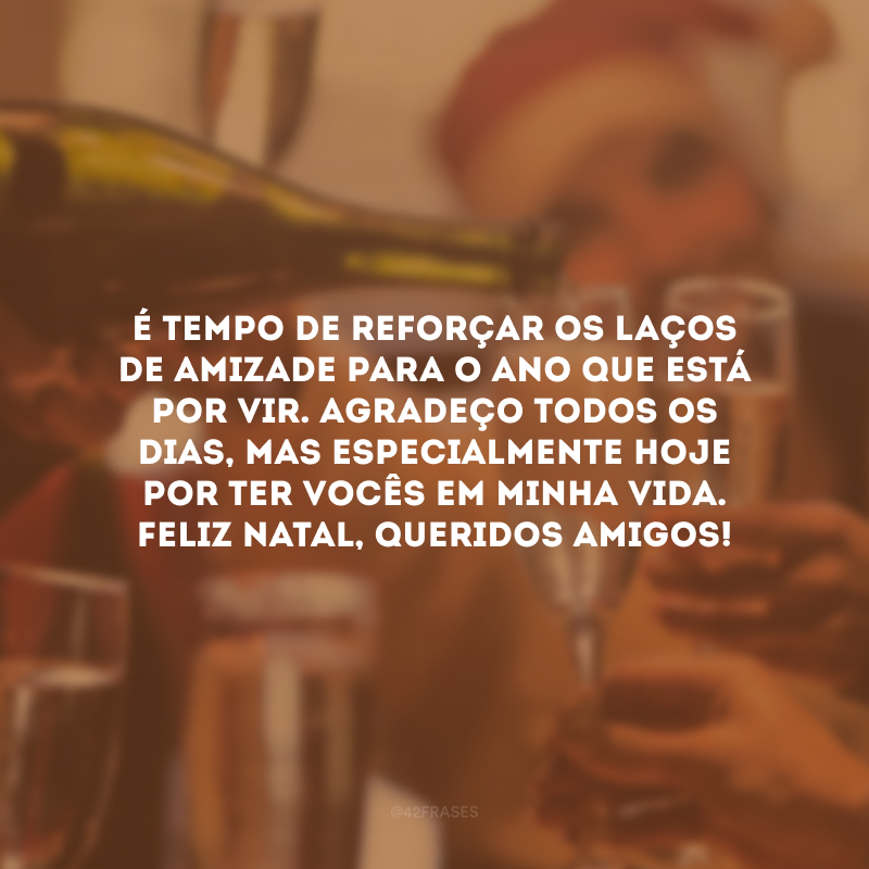 É tempo de reforçar os laços de amizade para o ano que está por vir. Agradeço todos os dias, mas especialmente hoje por ter vocês em minha vida. Feliz Natal, queridos amigos!