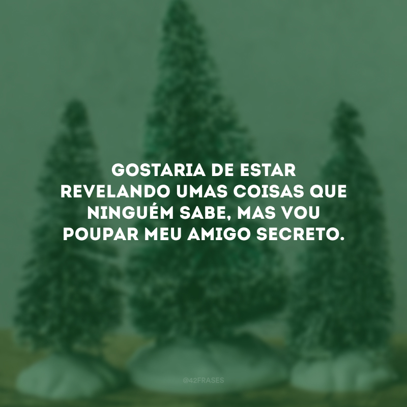 Gostaria de estar revelando umas coisas que ninguém sabe, mas vou poupar meu amigo secreto. 