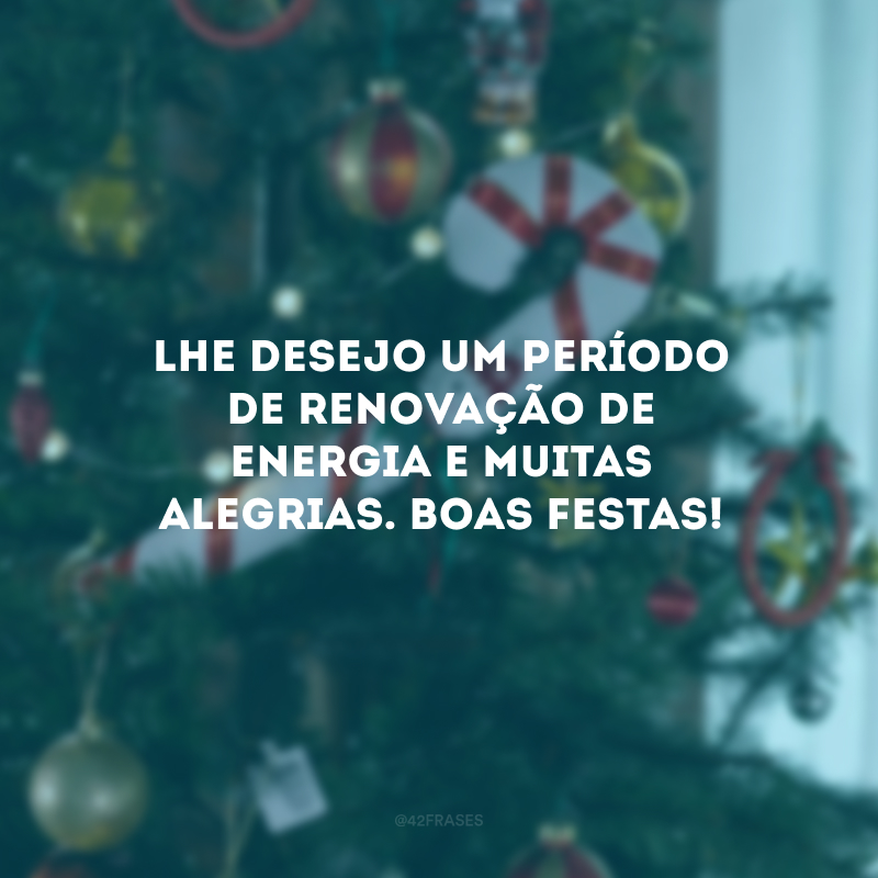 Lhe desejo um período de renovação de energia e muitas alegrias. Boas Festas! 