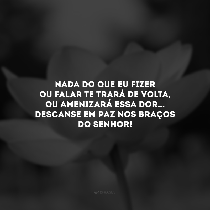 Nada do que eu fizer ou falar te trará de volta, ou amenizará essa dor... Descanse em paz nos braços do Senhor!