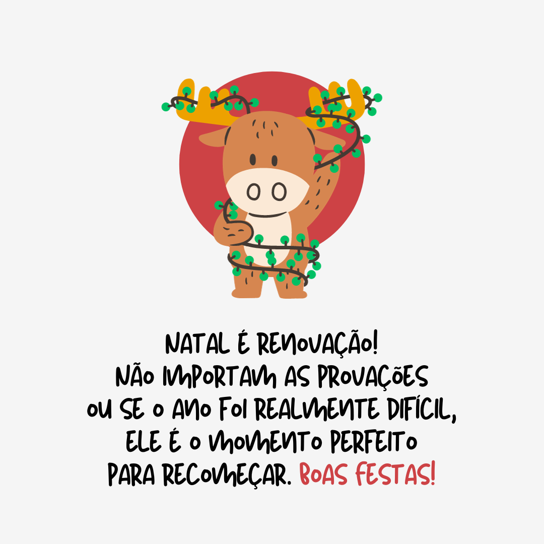 Natal é renovação! Não importam as provações ou se o ano foi realmente difícil, ele é o momento perfeito para recomeçar. Boas Festas!