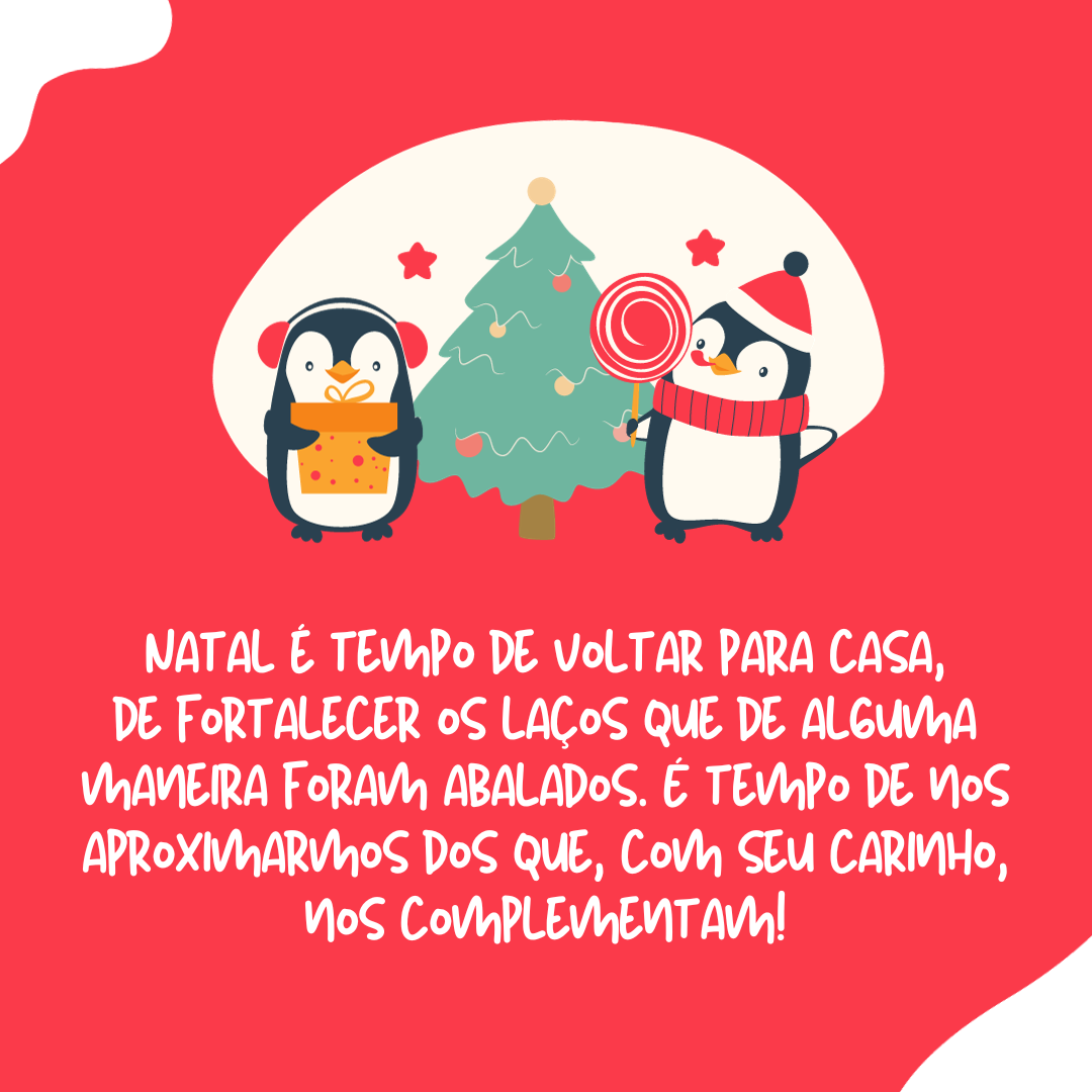 Natal é tempo de voltar para casa, de fortalecer os laços que de alguma maneira foram abalados. É tempo de nos aproximarmos dos que, com seu carinho, nos complementam!