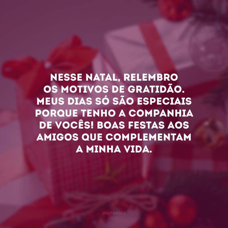 Nesse Natal, relembro os motivos de gratidão. Meus dias só são especiais porque tenho a companhia de vocês! Boas Festas aos amigos que complementam a minha vida.