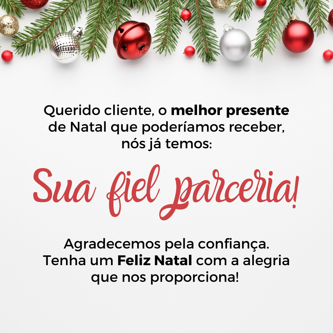 Querido cliente, o melhor presente de Natal que poderíamos receber, já temos: sua fiel parceria. Agradecemos pela confiança. Tenha um Feliz Natal com a alegria que nos proporciona! 