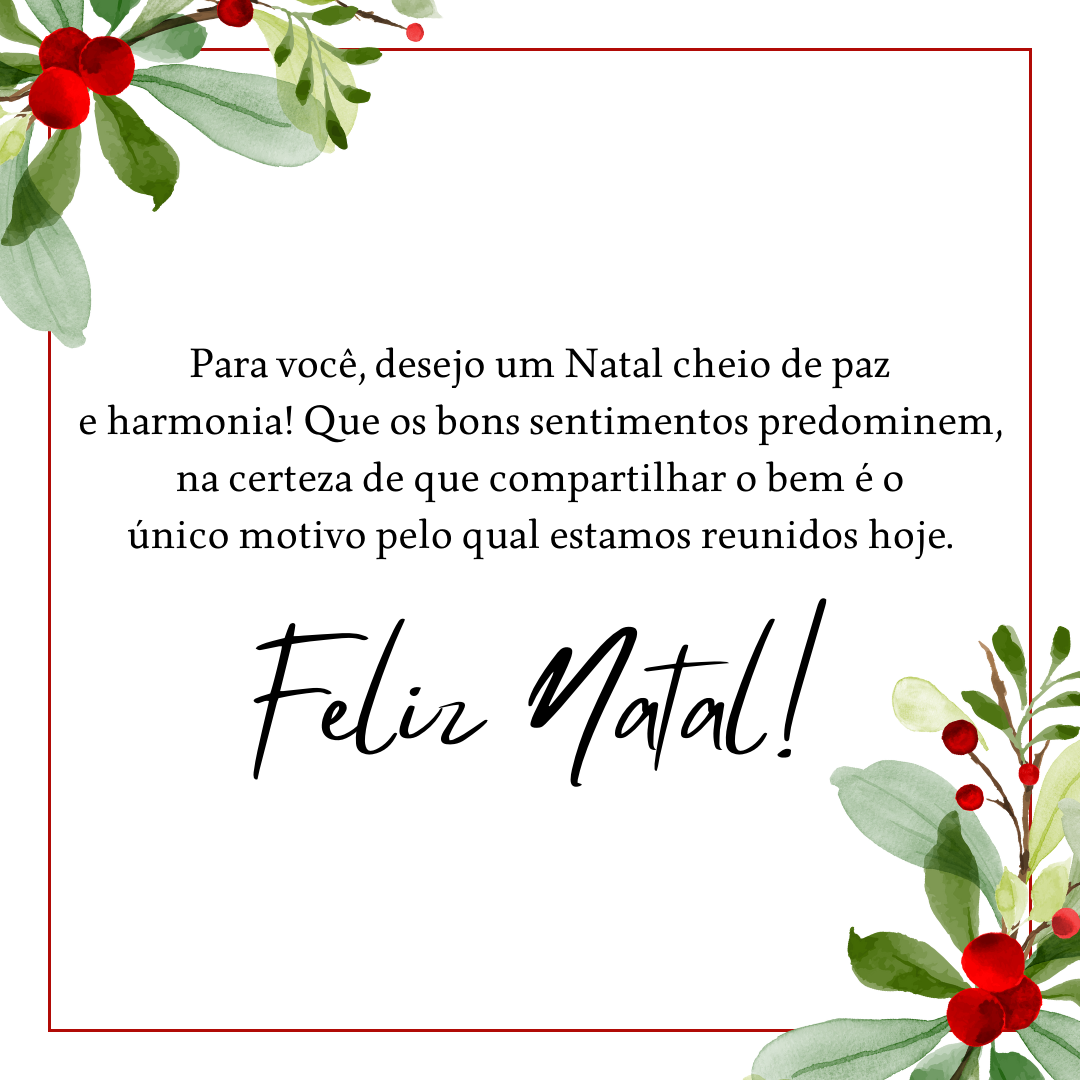 Para você, desejo um Natal cheio de paz e harmonia! Que os bons sentimentos predominem, na certeza de que compartilhar o bem é o único motivo pelo qual estamos reunidos hoje. Feliz Natal!