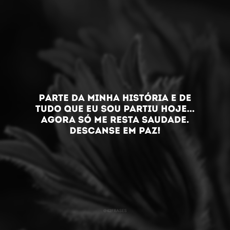 Parte da minha história e de tudo que eu sou partiu hoje... Agora só me resta saudade. Descanse em paz! 