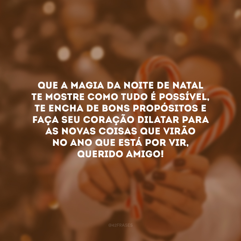 Que a magia da noite de Natal te mostre como tudo é possível, te encha de bons propósitos e faça seu coração dilatar para as novas coisas que virão no ano que está por vir, querido amigo!