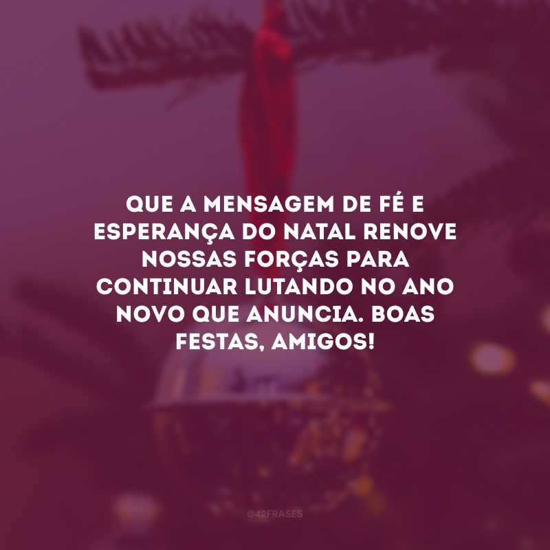 Que a mensagem de fé e esperança do Natal renove nossas forças para continuar lutando no Ano Novo que anuncia. Boas Festas, amigos!