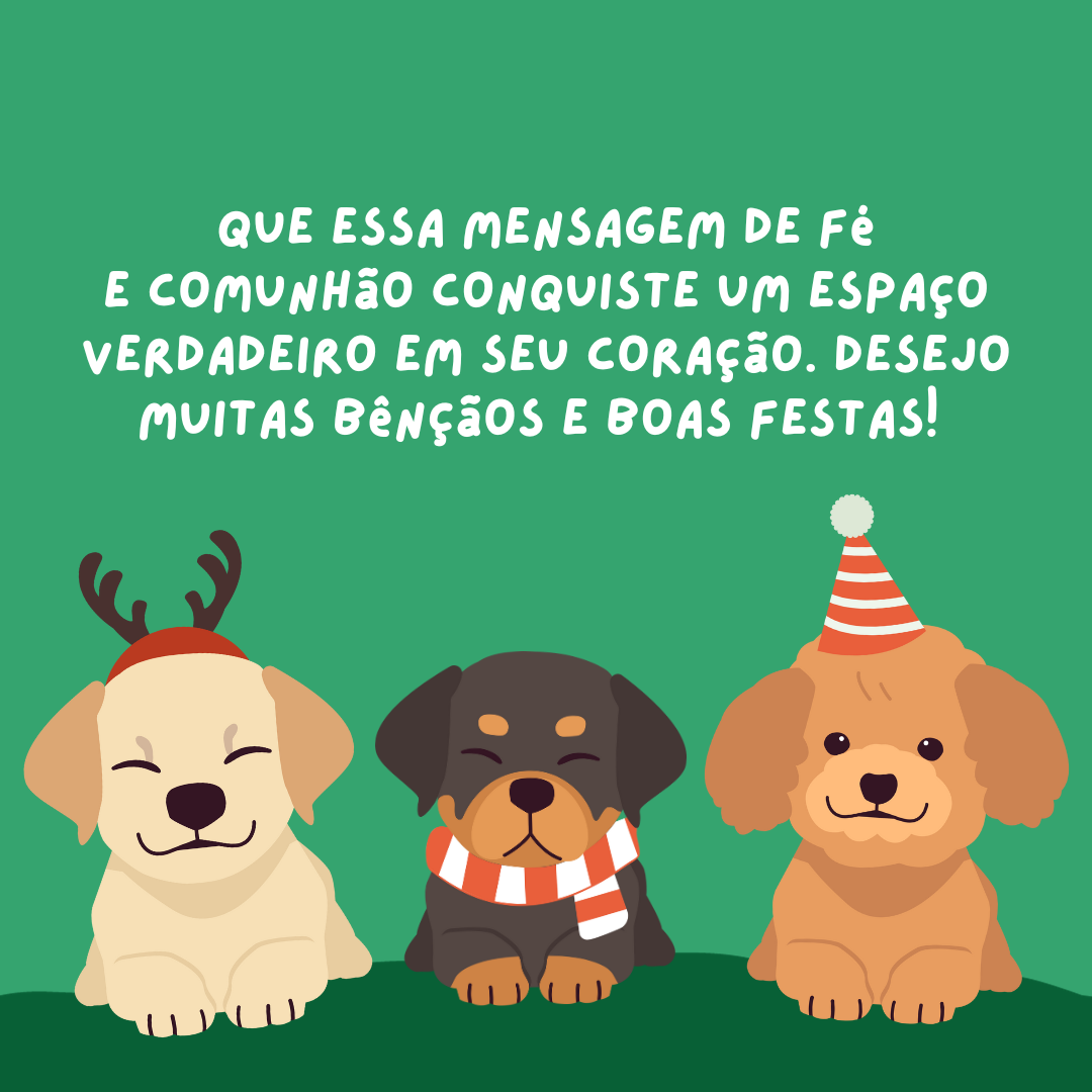 Que essa mensagem de fé e comunhão conquiste um espaço verdadeiro em seu coração. Desejo muitas bênçãos e Boas Festas! 