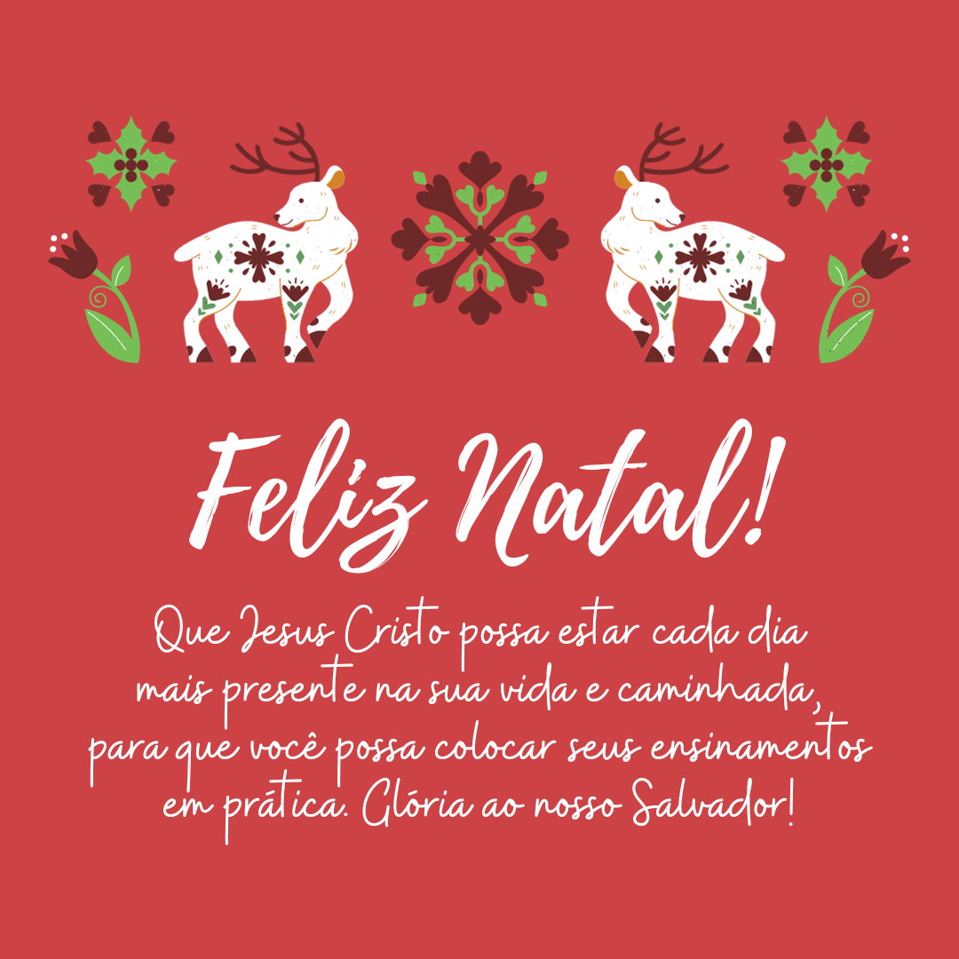 Feliz Natal! Que Jesus Cristo possa estar cada dia mais presente na sua vida e caminhada, para que você possa colocar seus ensinamentos em prática. Glória ao nosso Salvador!