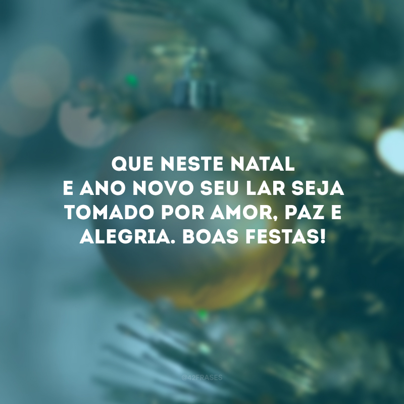 Que neste Natal e Ano Novo seu lar seja tomado por amor, paz e alegria. Boas Festas! 