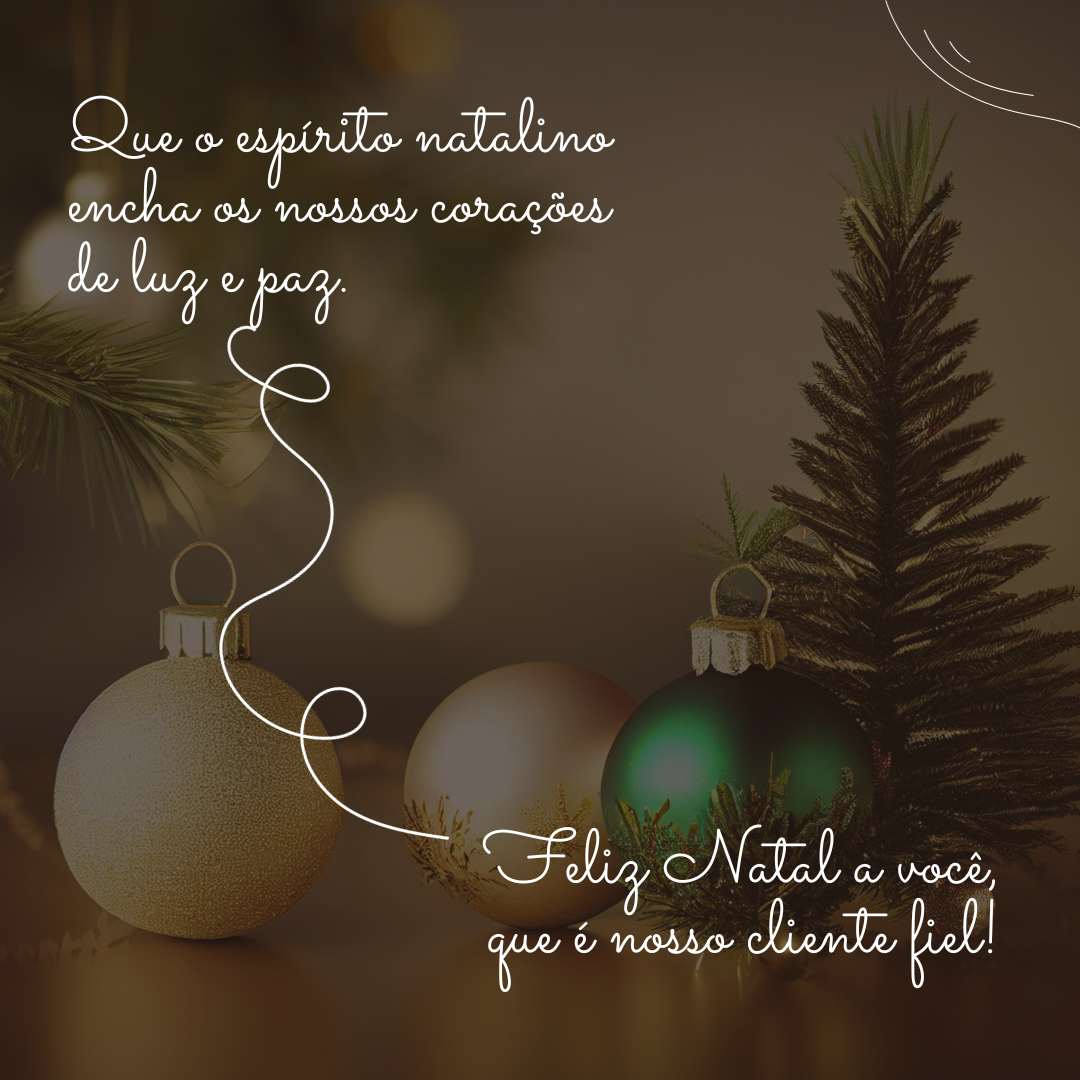 Que o espírito natalino encha os nossos corações de luz e paz. Feliz Natal a você, que é nosso cliente fiel!