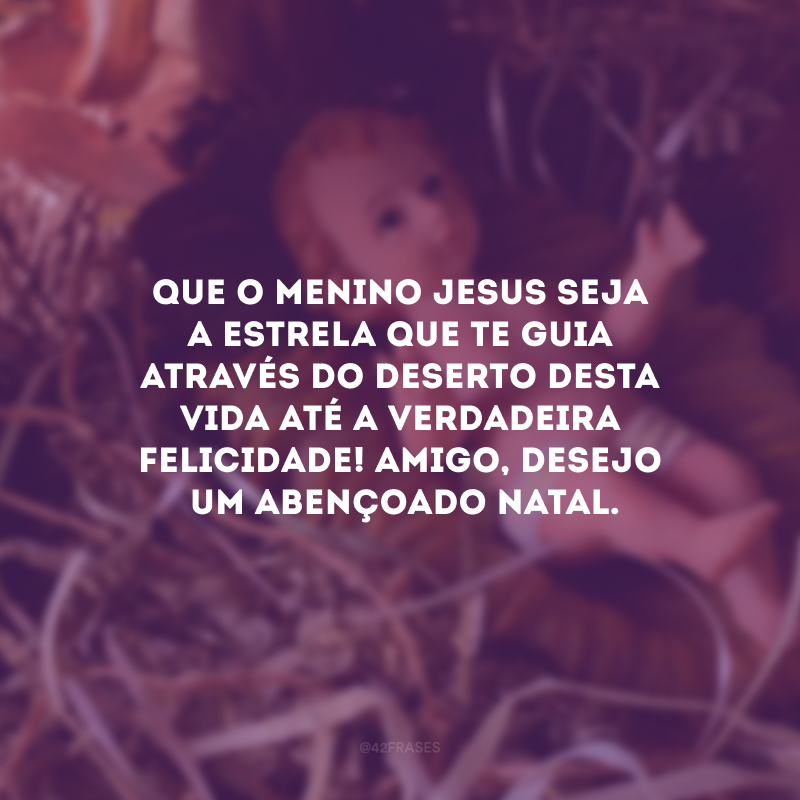 Que o Menino Jesus seja a estrela que te guia através do deserto desta vida até a verdadeira felicidade! Amigo, desejo um abençoado Natal.