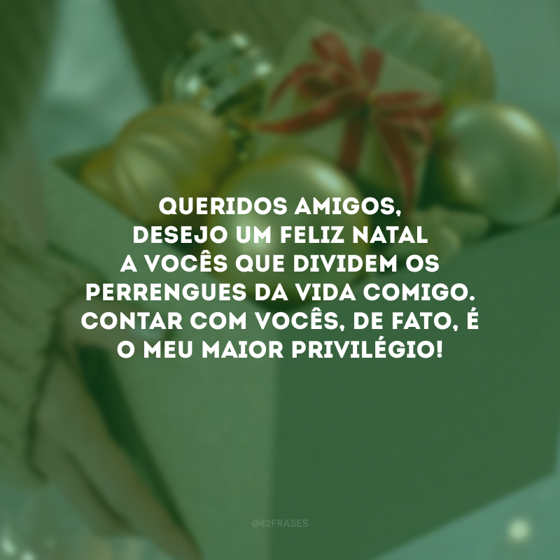 Queridos amigos, desejo um Feliz Natal a vocês que dividem os perrengues da vida comigo. Contar com vocês, de fato, é o meu maior privilégio!