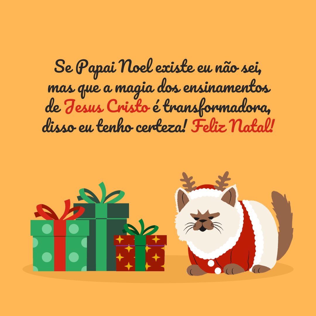 Se Papai Noel existe eu não sei, mas que a magia dos ensinamentos de Jesus Cristo é transformadora, disso eu tenho certeza! Feliz Natal.