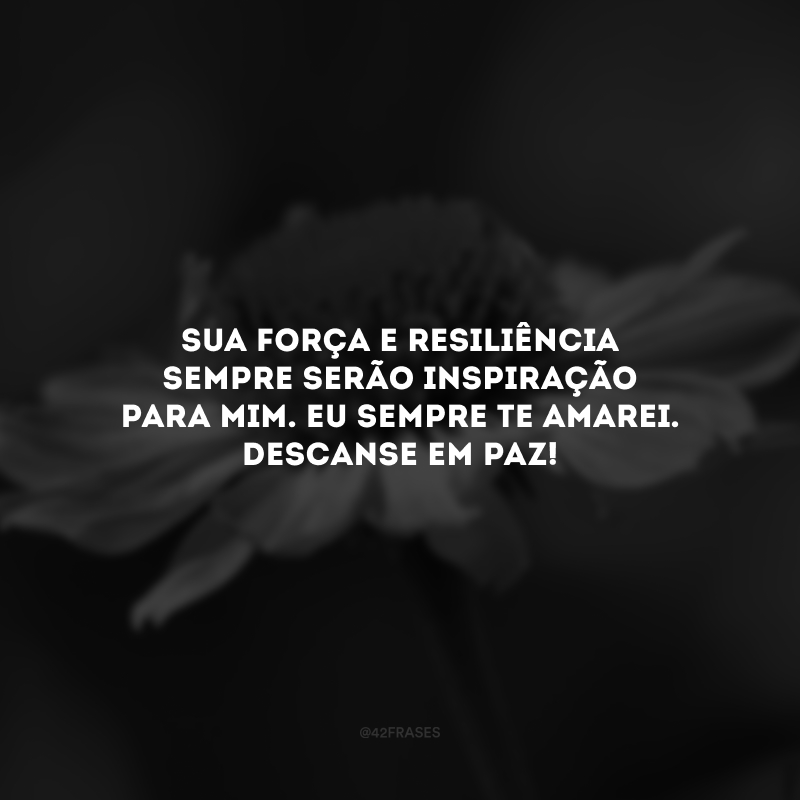 Sua força e resiliência sempre serão inspiração para mim. Eu sempre te amarei. Descanse em paz! 