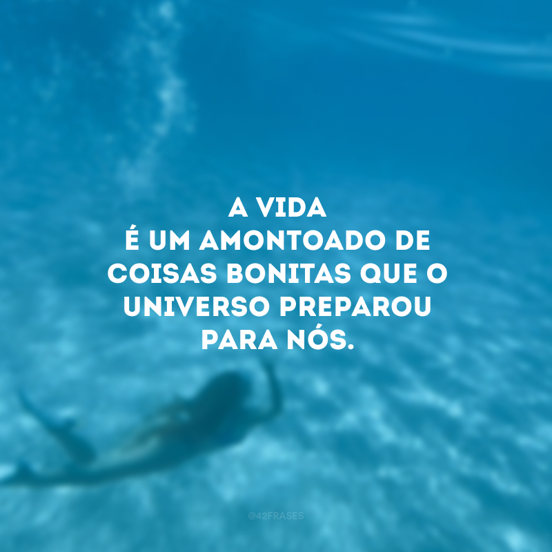 A vida é um amontoado de coisas bonitas que o universo preparou para nós.