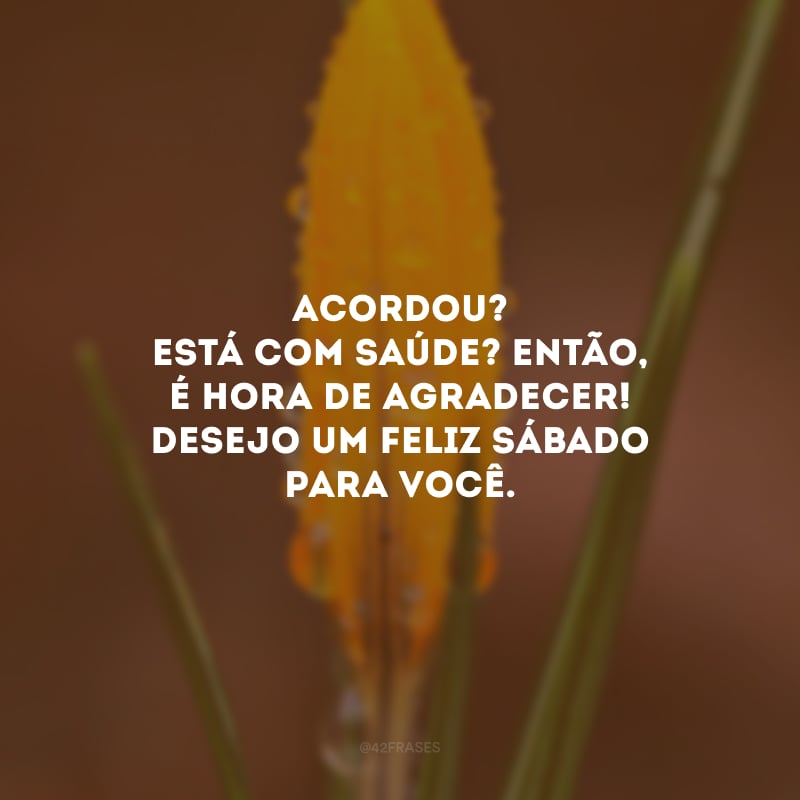 Acordou? Está com saúde? Então, é hora de agradecer! Desejo um feliz sábado para você.