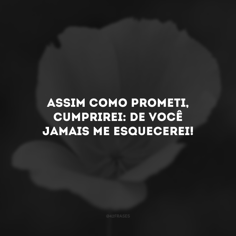 Assim como prometi, cumprirei: de você jamais me esquecerei!