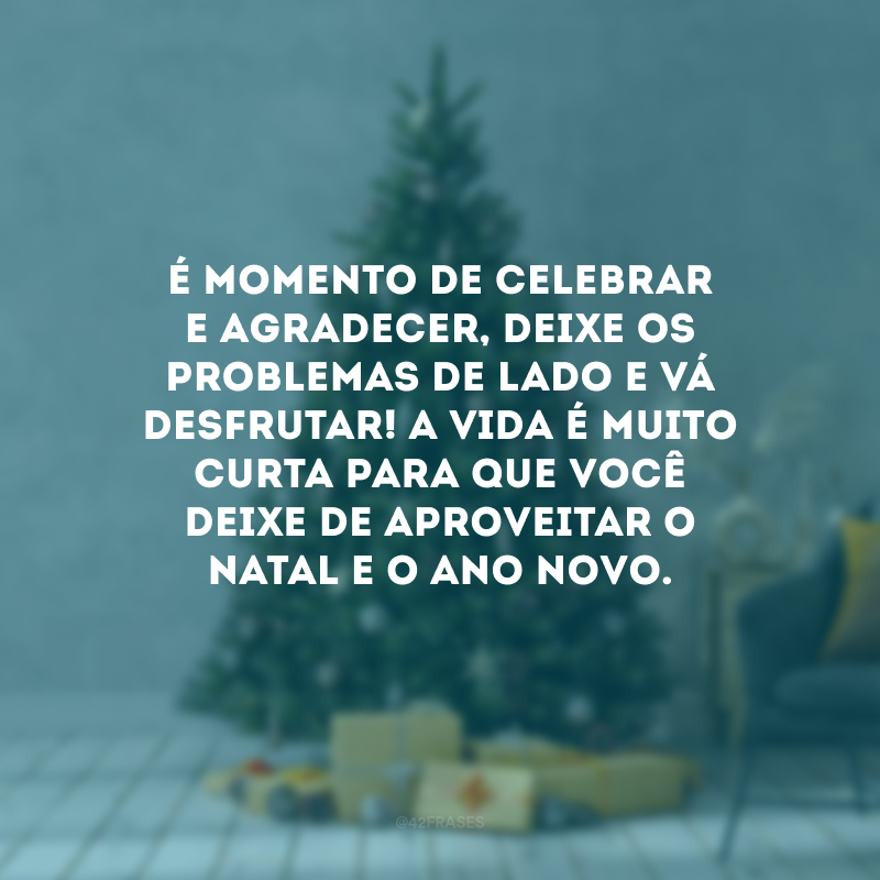 É momento de celebrar e agradecer, deixe os problemas de lado e vá desfrutar! A vida é muito curta para que você deixe de aproveitar o Natal e o Ano Novo. 