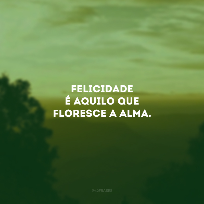 Felicidade é aquilo que floresce a alma.