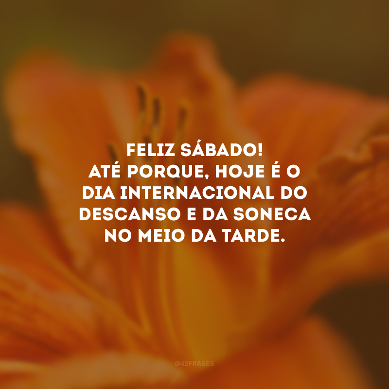 Feliz sábado! Até porque, hoje é o dia internacional do descanso e da soneca no meio da tarde.