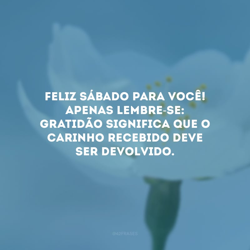 Feliz sábado para você! Apenas lembre-se: gratidão significa que o carinho recebido deve ser devolvido.