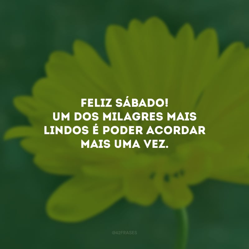 Feliz sábado! Um dos milagres mais lindos é poder acordar mais uma vez. 