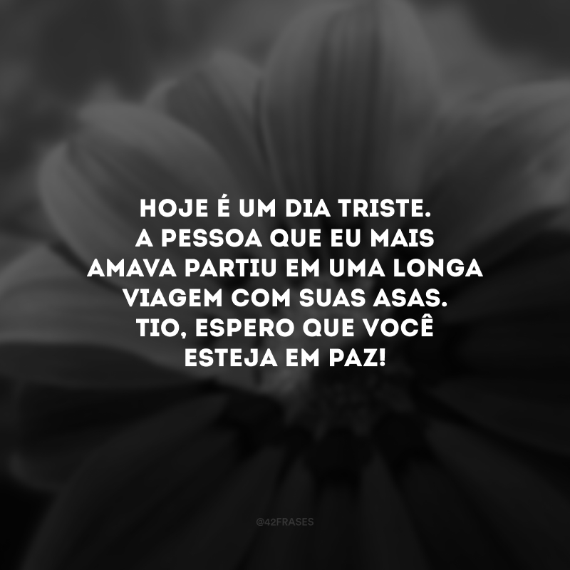 Hoje é um dia triste. A pessoa que eu mais amava partiu em uma longa viagem com suas asas. Tio, espero que você esteja em paz!