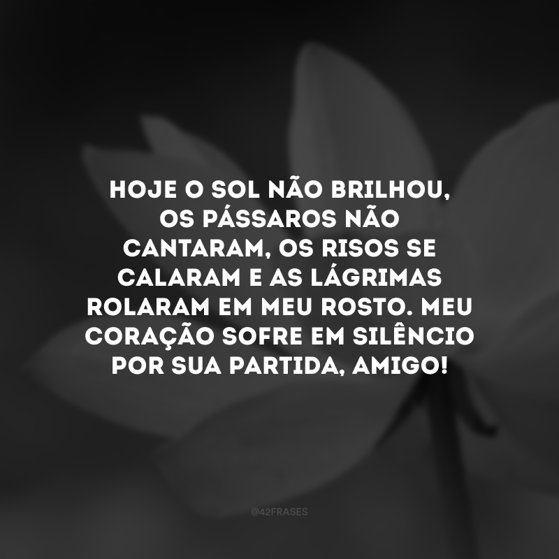 Hoje o sol não brilhou, os pássaros não cantaram, os risos se calaram e as lágrimas rolaram em meu rosto. Meu coração sofre em silêncio por sua partida, amigo!