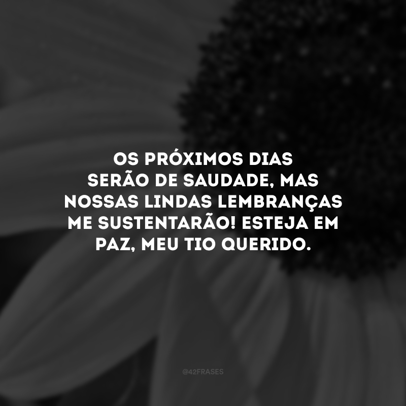 Os próximos dias serão de saudade, mas nossas lindas lembranças me sustentarão! Esteja em paz, meu tio querido.