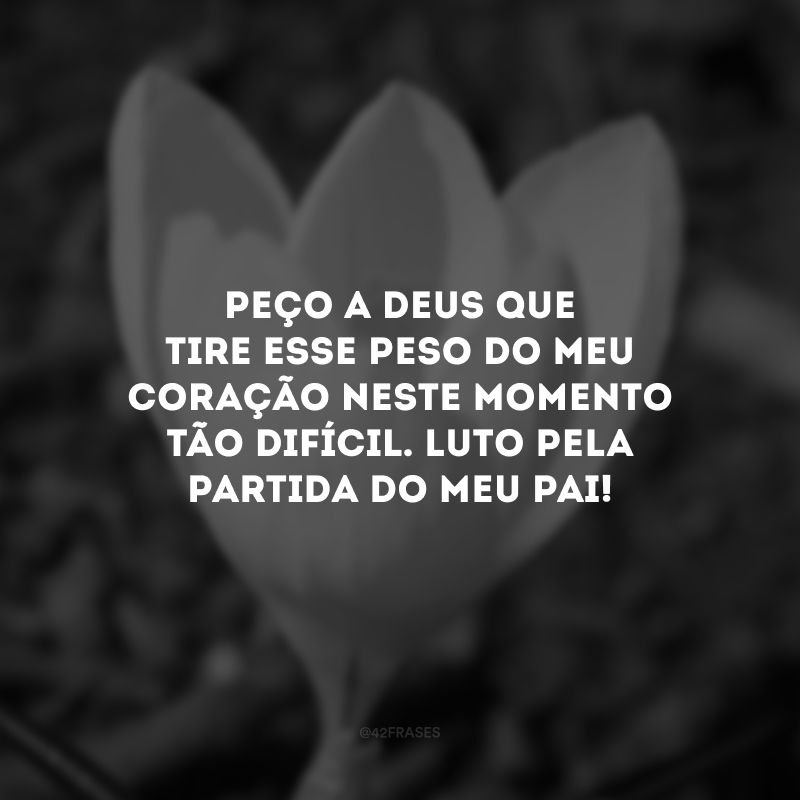 Peço a Deus que tire esse peso do meu coração neste momento tão difícil. Luto pela partida do meu pai!