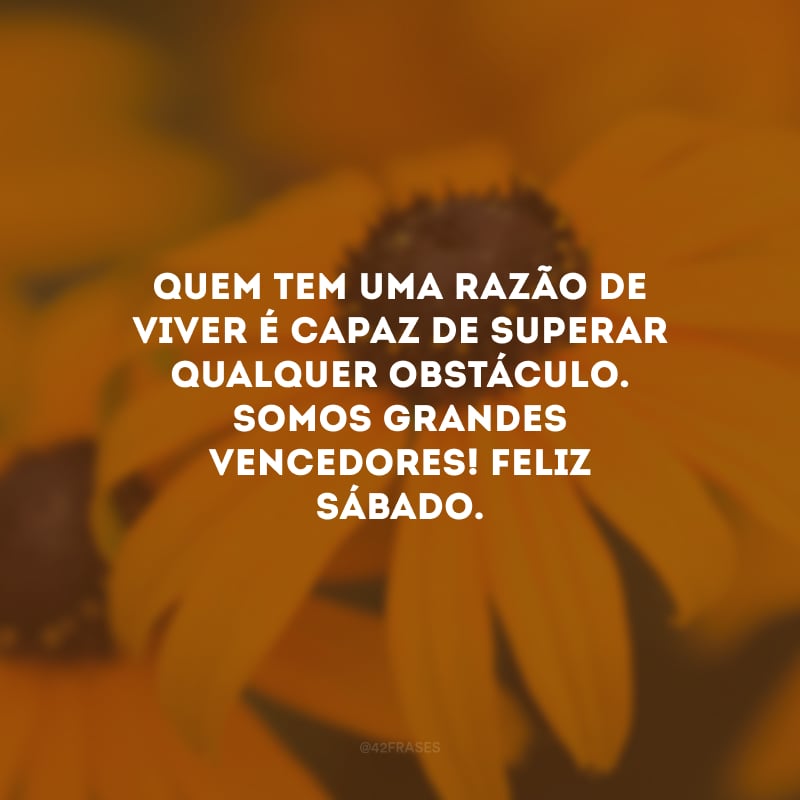 Quem tem uma razão de viver é capaz de superar qualquer obstáculo. Somos grandes vencedores! Feliz sábado.