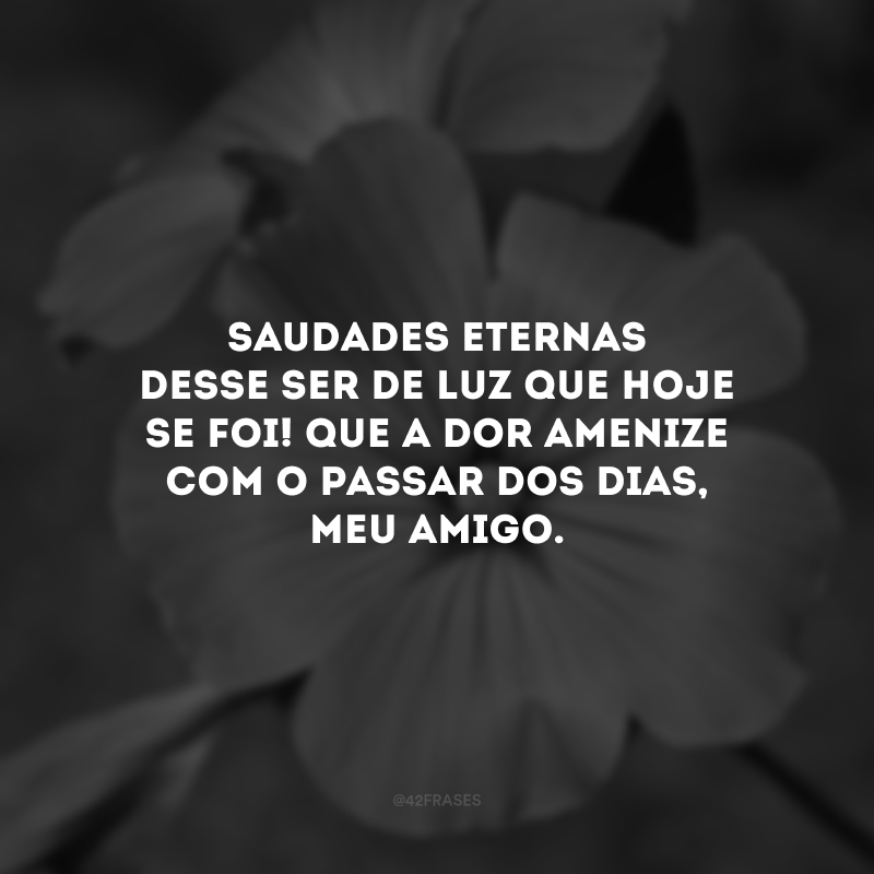 Saudades eternas desse ser de luz que hoje se foi! Que a dor amenize com o passar dos dias, meu amigo.