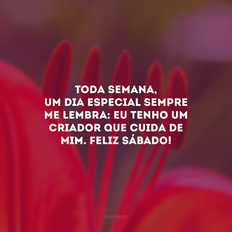 Toda semana, um dia especial sempre me lembra: eu tenho um Criador que cuida de mim. Feliz sábado!