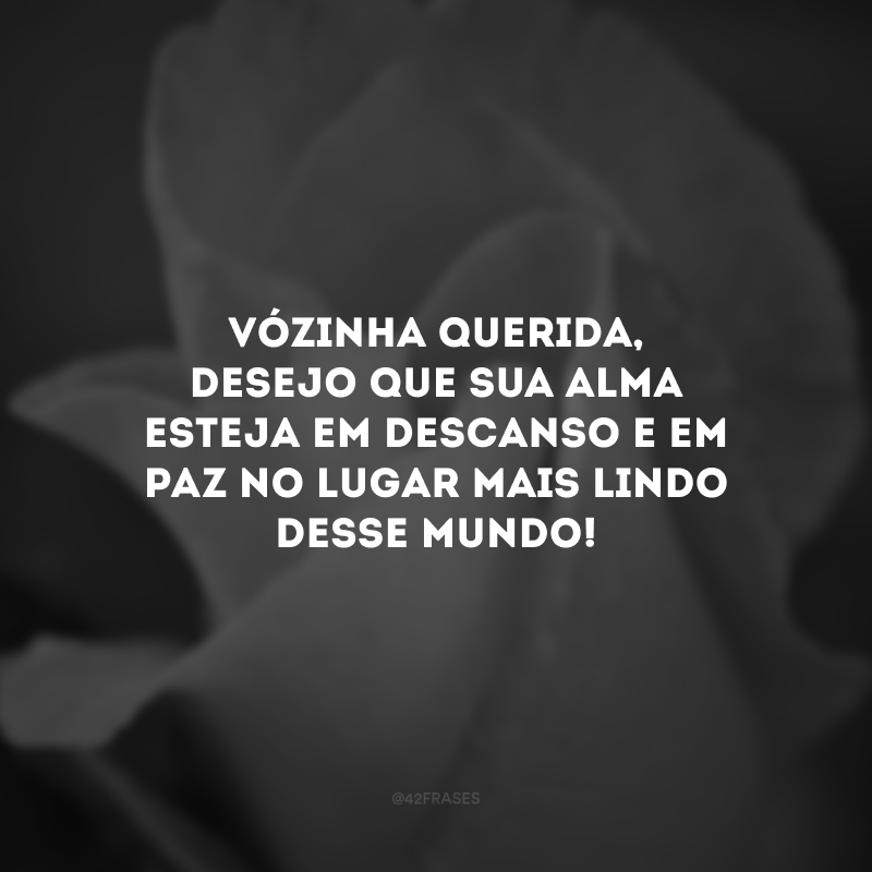 Vózinha querida, desejo que sua alma esteja em descanso e em paz no lugar mais lindo desse mundo!