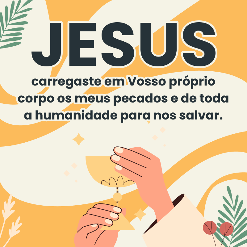 Jesus, carregaste em Vosso próprio corpo os meus pecados e de toda a humanidade para nos salvar.