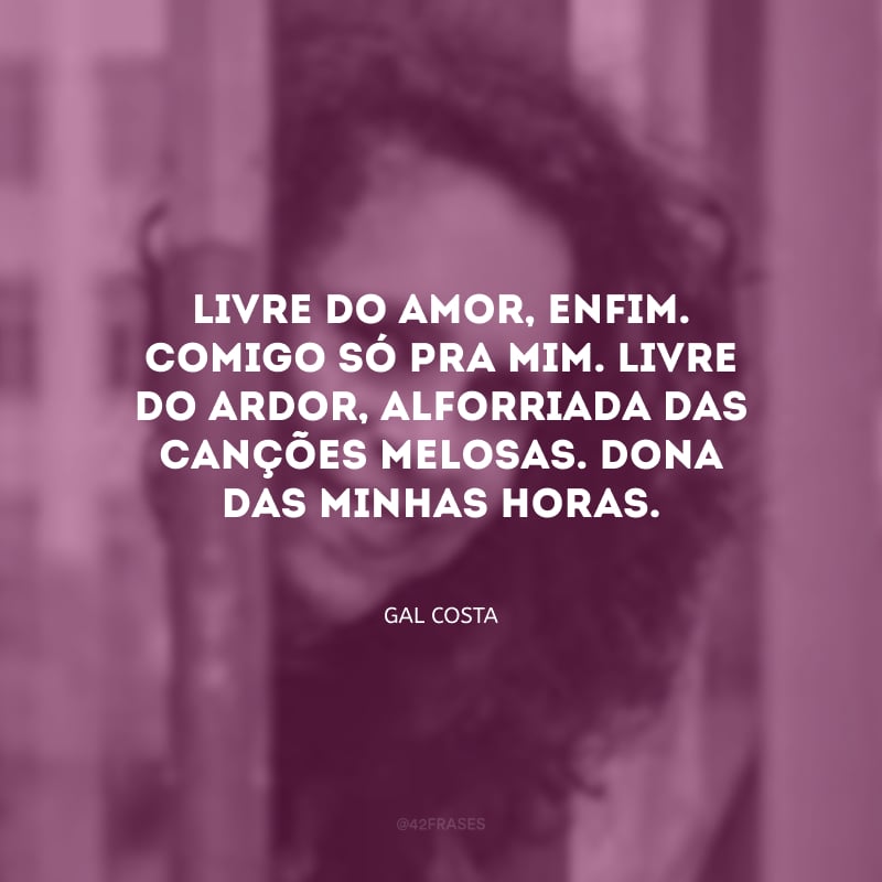 Livre do amor, enfim. Comigo só pra mim. Livre do ardor, alforriada das canções melosas. Dona das minhas horas.