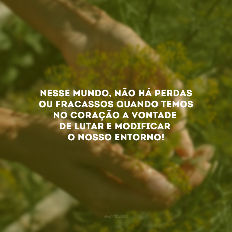 Nesse mundo, não há perdas ou fracassos quando temos no coração a vontade de lutar e modificar o nosso entorno!