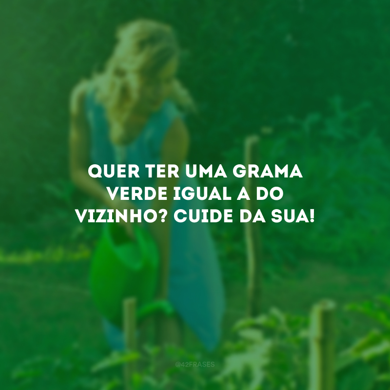 Quer ter uma grama verde igual a do vizinho? Cuide da sua!