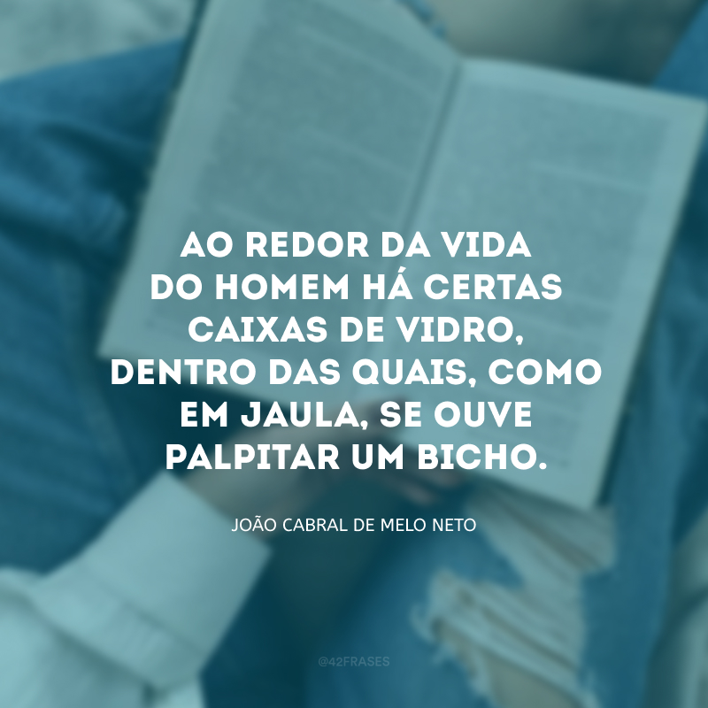 Ao redor da vida do homem há certas caixas de vidro, dentro das quais, como em jaula, se ouve palpitar um bicho. 