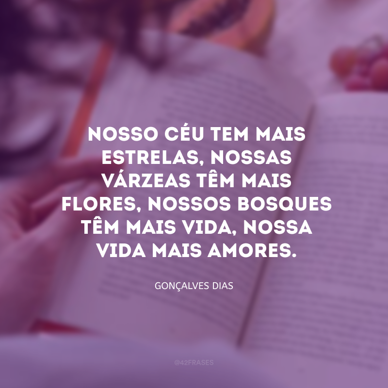 Nosso céu tem mais estrelas, nossas várzeas têm mais flores, nossos bosques têm mais vida, nossa vida mais amores. 