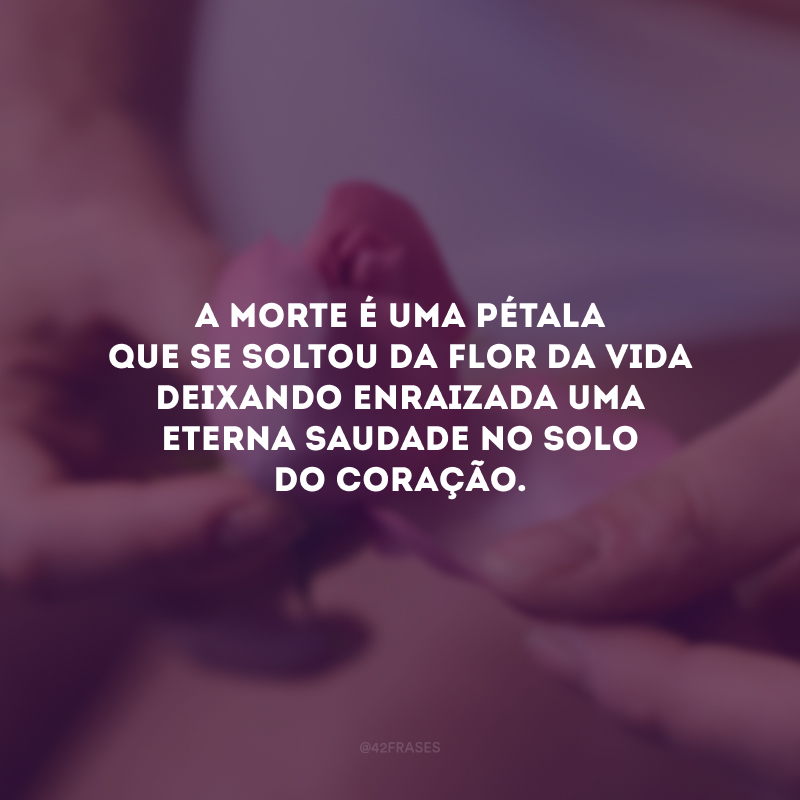 A morte é uma pétala que se soltou da flor da vida deixando enraizada uma eterna saudade no solo do coração.