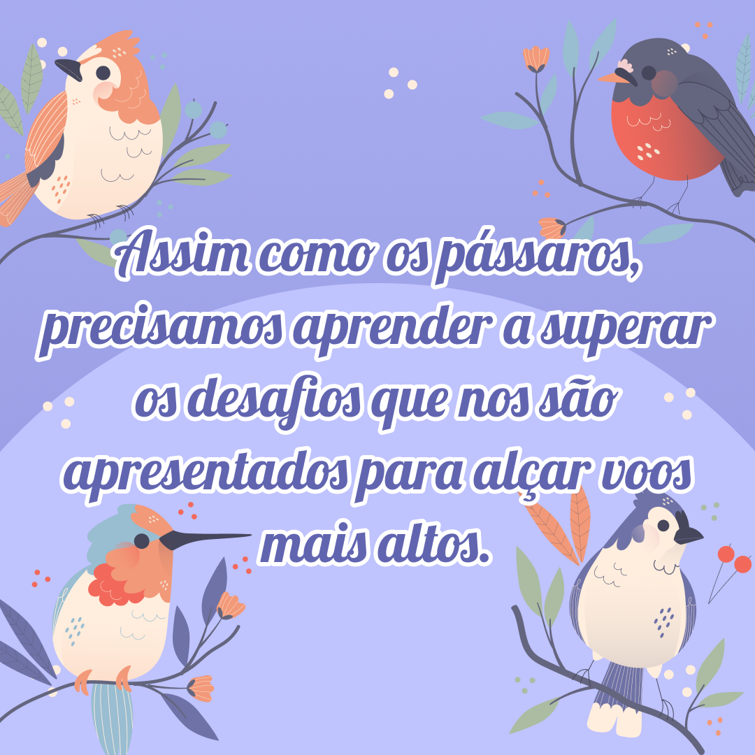 Assim como os pássaros, precisamos aprender a superar os desafios que nos são apresentados para alçar voos mais altos.