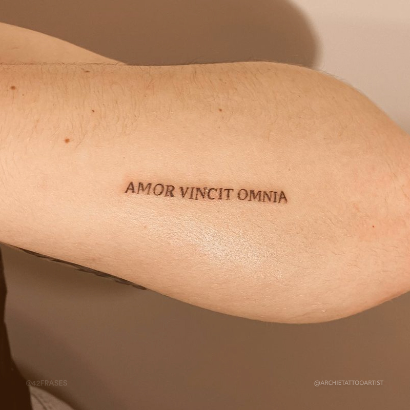 Amor vincit omnia. (Amor conquista tudo.) 