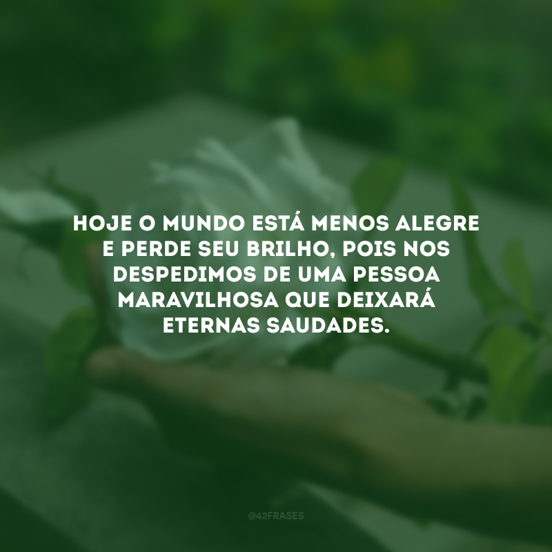 Hoje o mundo está menos alegre e perde seu brilho, pois nos despedimos de uma pessoa maravilhosa que deixará eternas saudades.