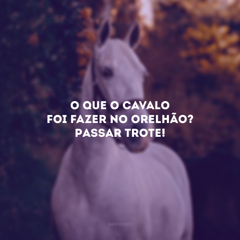 O que o cavalo foi fazer no orelhão? Passar trote!