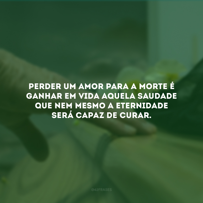 Perder um amor para a morte é ganhar em vida aquela saudade que nem mesmo a eternidade será capaz de curar.